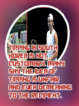 Best tennis tipster in Indian Rupees