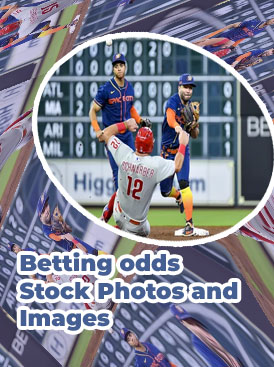 Westgate baseball odds in India
